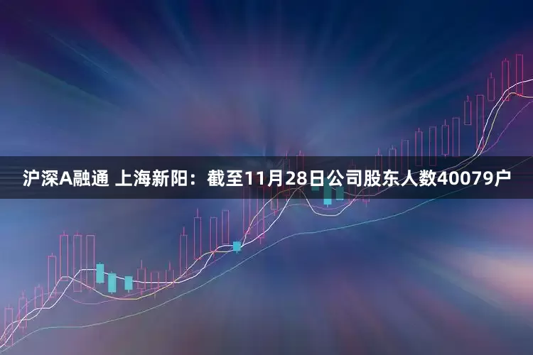沪深A融通 上海新阳：截至11月28日公司股东人数40079户