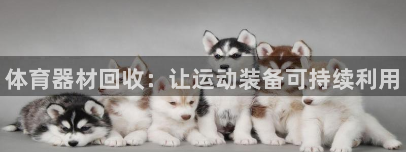 尊龙凯时-人生就是博中国官网：体育器材回收：让运动装