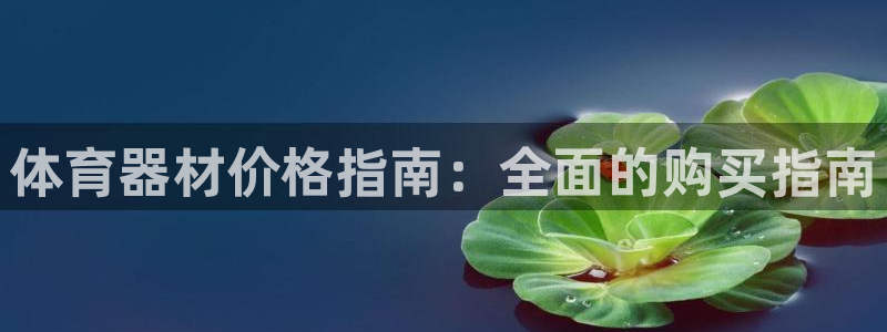 尊龙凯时旗舰厅官网：体育器材价格指南：全面的购买指南