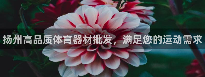 z6尊龙凯时旗舰厅首页：扬州高品质体育器材批发，满足