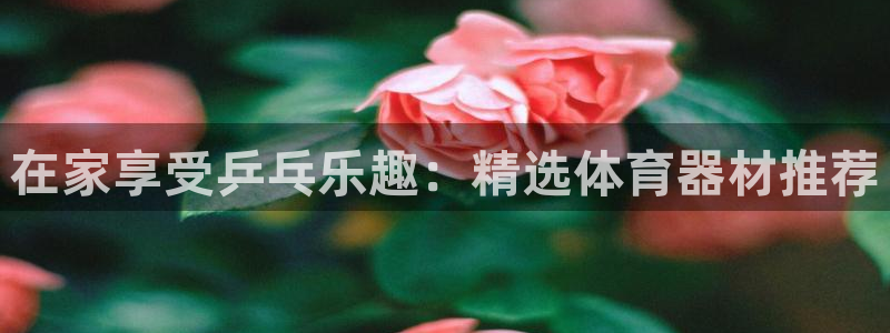 尊龙凯时能提现吗：在家享受乒乓乐趣：精选体育器材推荐