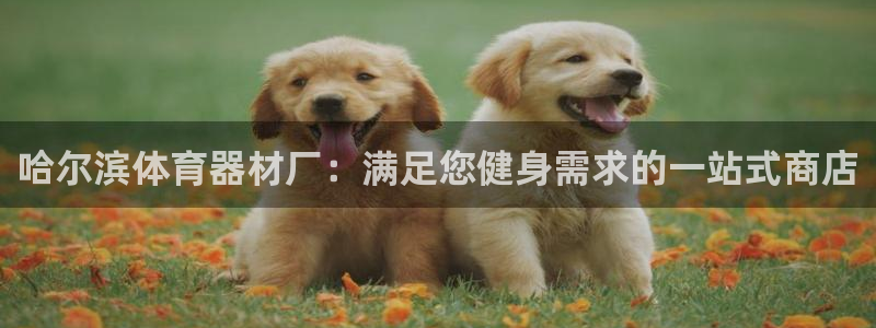 agz6尊龙凯时集团：哈尔滨体育器材厂：满足您健身需