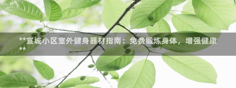 尊龙凯时不给提款：**宣城小区室外健身器材指南：免费