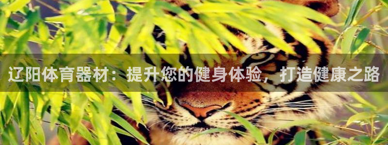 尊龙app下载官网：辽阳体育器材：提升您的健身体验，