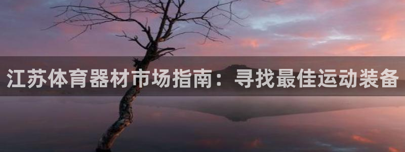 尊龙ag旗舰厅登陆：江苏体育器材市场指南：寻找最佳运