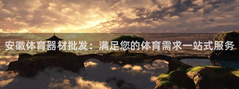尊龙凯时 人生就是搏：安徽体育器材批发：满足您的体育