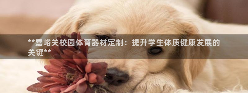 尊龙尊龙：**嘉峪关校园体育器材定制：提升学生体质健