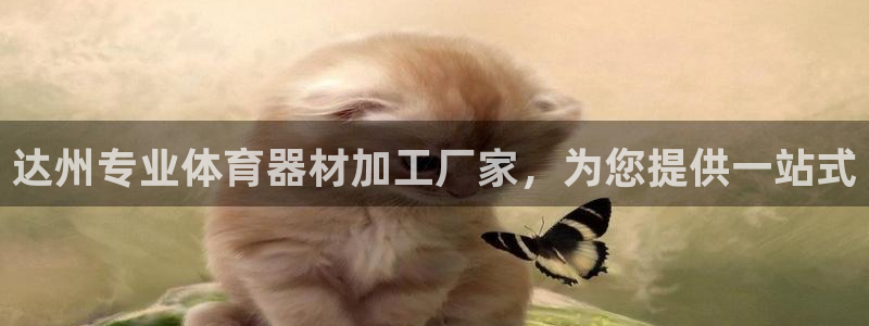 凯时kb88kb88：达州专业体育器材加工厂家，为您