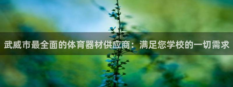 尊龙服饰有限公司地址：武威市最全面的体育器材供应商：