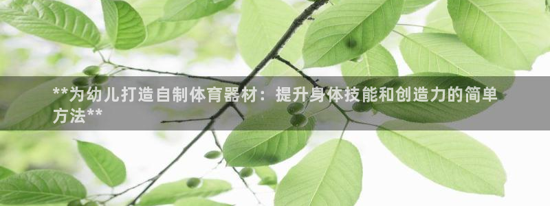 d88尊龙手机客户端下载：**为幼儿打造自制体育器材