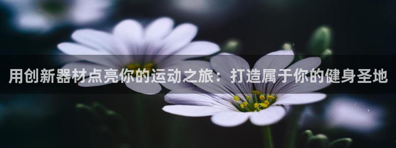 尊龙客服：用创新器材点亮你的运动之旅：打造属于你的健