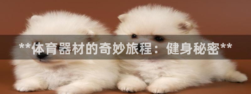 尊龙凯时 - 人生就是搏!：**体育器材的奇妙旅程：