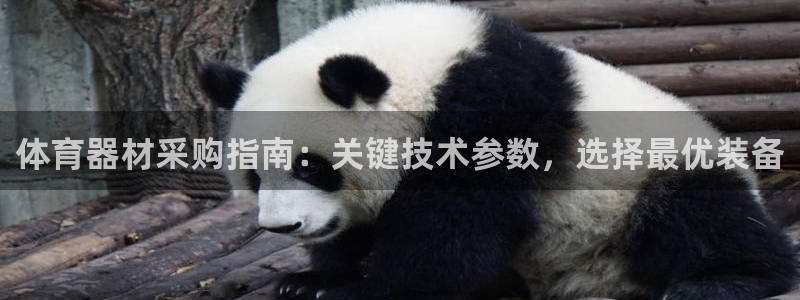 尊龙人生就是博现金：体育器材采购指南：关键技术参数，