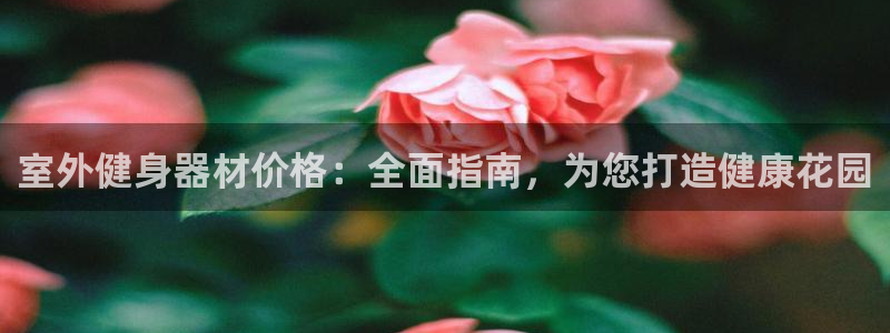 尊龙官网地址：室外健身器材价格：全面指南，为您打造健
