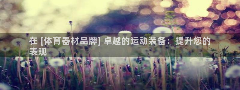 ZL尊龙凯时平台：在 [体育器材品牌] 卓越的运动装