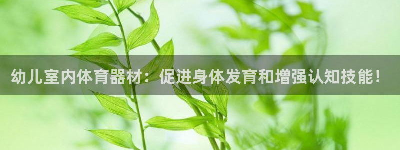 尊龙官方平台：幼儿室内体育器材：促进身体发育和增强认