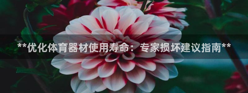 尊龙专访：**优化体育器材使用寿命：专家损坏建议指南