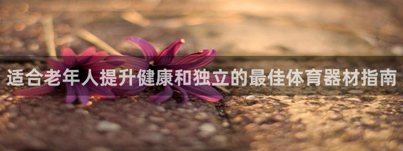 尊龙现金：适合老年人提升健康和独立的最佳体育器材指南