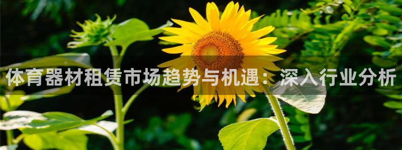 凯时登录：体育器材租赁市场趋势与机遇：深入行业分析