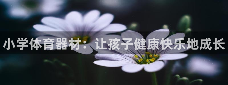 尊龙凯时导航菜单首页：小学体育器材：让孩子健康快乐地
