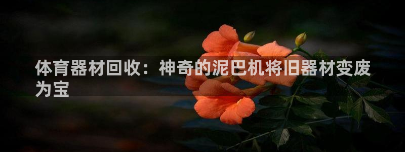 尊龙凯时登陆：体育器材回收：神奇的泥巴机将旧器材变废