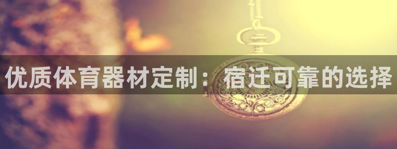 尊龙官网网站：优质体育器材定制：宿迁可靠的选择