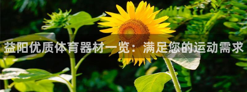 尊龙am i blue：益阳优质体育器材一览：满足您