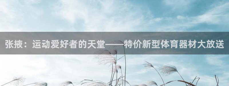 凯时AG网：张掖：运动爱好者的天堂——特价新型体育器