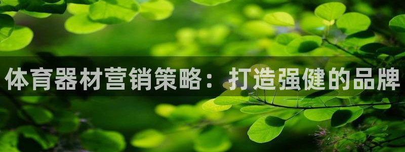 尊龙官方网站：体育器材营销策略：打造强健的品牌