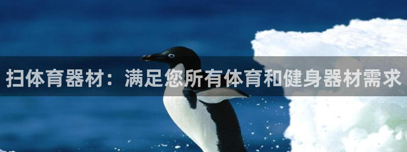 尊龙网址是选访问zd207：扫体育器材：满足您所有体