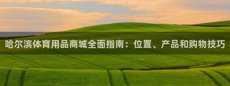 kb88凯时会员登录：哈尔滨体育用品商城全面指南：位
