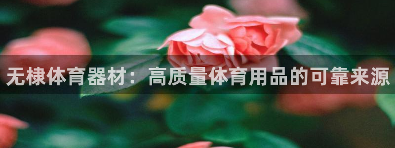 d88尊龙手机登录下载：无棣体育器材：高质量体育用品