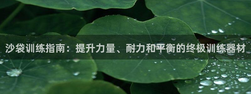 尊龙d88官网可靠送38元：沙袋训练指南：提升力量、