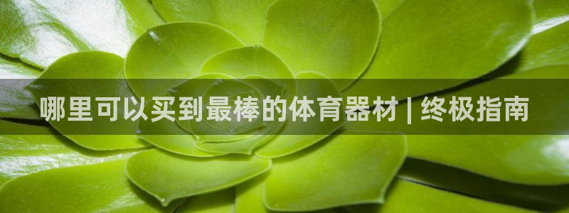 凯时k66官方发布：哪里可以买到最棒的体育器材 | 