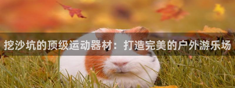 尊龙凯时口碑好吗：挖沙坑的顶级运动器材：打造完美的户