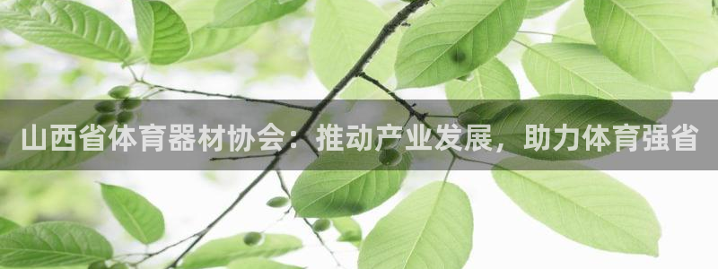 尊龙官方app下载：山西省体育器材协会：推动产业发展