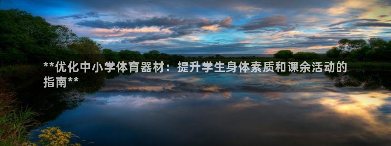 尊龙凯时电竞：**优化中小学体育器材：提升学生身体素