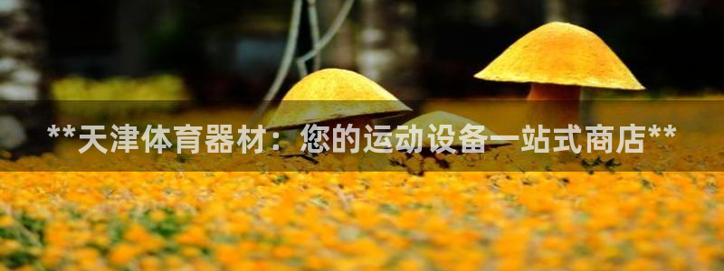尊龙凯时是赌博嘛：**天津体育器材：您的运动设备一站