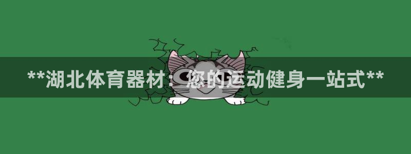 尊龙人生就是博旧版手机可靠送38元：**湖北体育器材