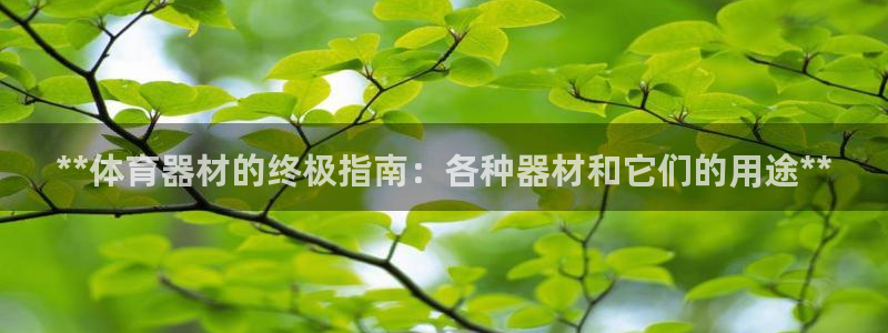 尊龙凯时的钱能退回来吗：**体育器材的终极指南：各种