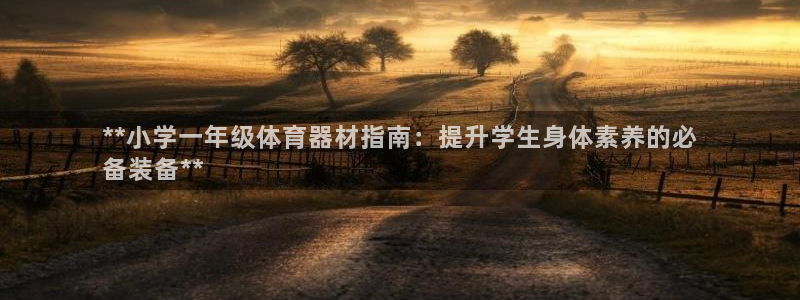 尊龙一人生就是搏：**小学一年级体育器材指南：提升学