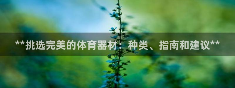 尊龙凯时赞助：**挑选完美的体育器材：种类、指南和建