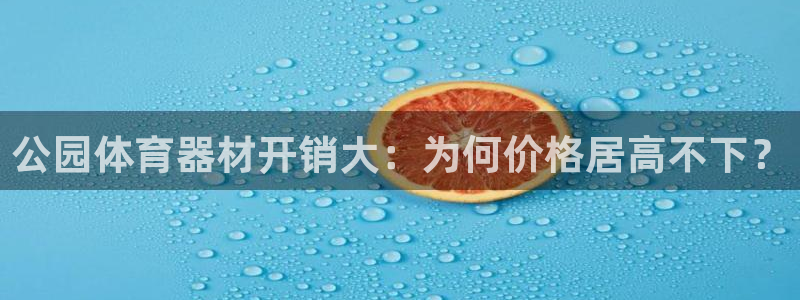 尊龙ag旗舰：公园体育器材开销大：为何价格居高不下？