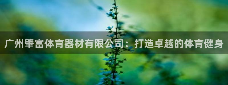 AG尊龙登陆网址：广州肇富体育器材有限公司：打造卓越的体育健